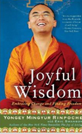 Joyful Wisdom